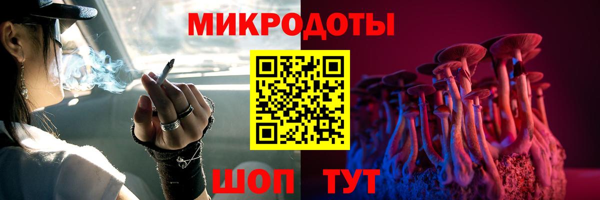 Бошки Шишки Сорочинск