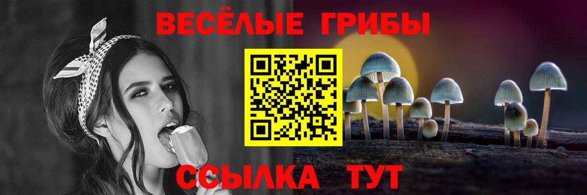 Сорочинск  Галлюциногенные грибы мицелий  Вход с VPN 